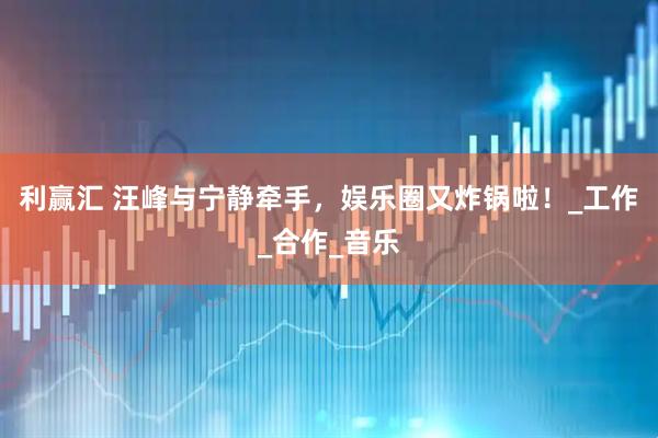 利赢汇 汪峰与宁静牵手，娱乐圈又炸锅啦！_工作_合作_音乐