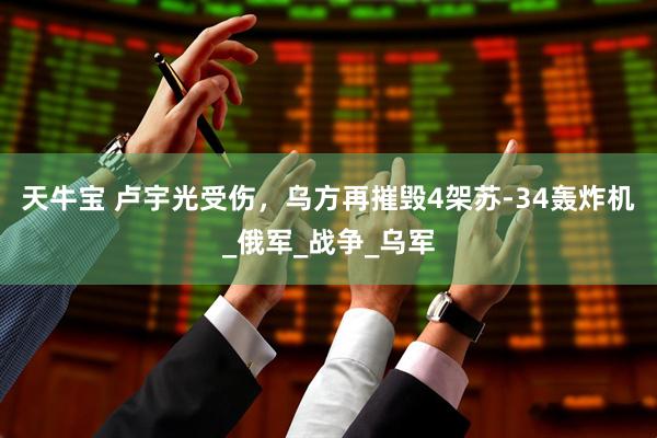 天牛宝 卢宇光受伤，乌方再摧毁4架苏-34轰炸机_俄军_战争_乌军