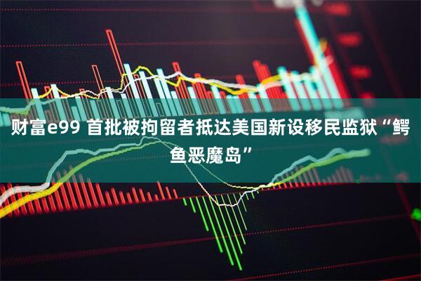 财富e99 首批被拘留者抵达美国新设移民监狱“鳄鱼恶魔岛”