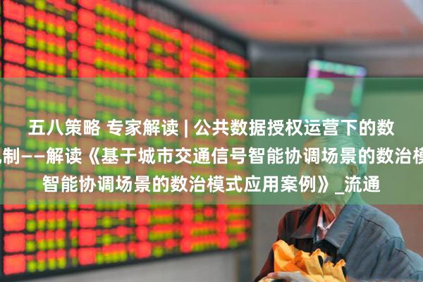 五八策略 专家解读 | 公共数据授权运营下的数据安全与利用平衡机制——解读《基于城市交通信号智能协调场景的数治模式应用案例》_流通