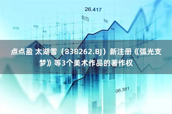 点点盈 太湖雪（838262.BJ）新注册《弧光支梦》等3个美术作品的著作权